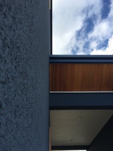 20161206-230218.jpg