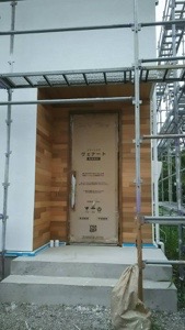 20170811-210109.jpg